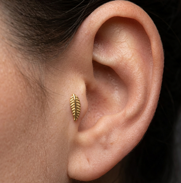 Tiny Leaf Titanium Studs Pair - Hypoallergenic