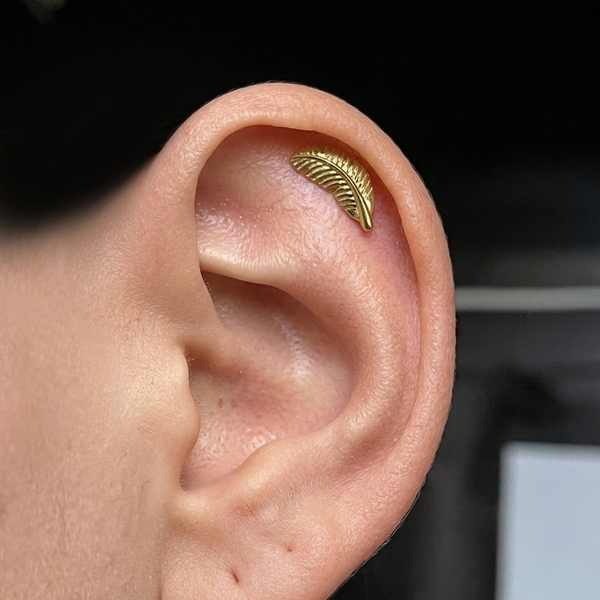 Curved Leaf Titanium Studs Pair - Hypoallergenic